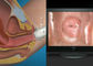 Sortie électronique du Colposcope AV/USB de Digital d'appareillage gynécologique visuel de la haute définition