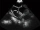 Scanner vétérinaire médical d'ultrason de Digital avec l'écran de 3,5 pouces et la fréquence de Porbe 2.5M 3.5M